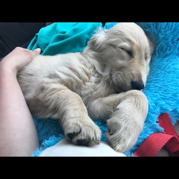 Meet your Posher, Kaylie - Picture 6 of 13